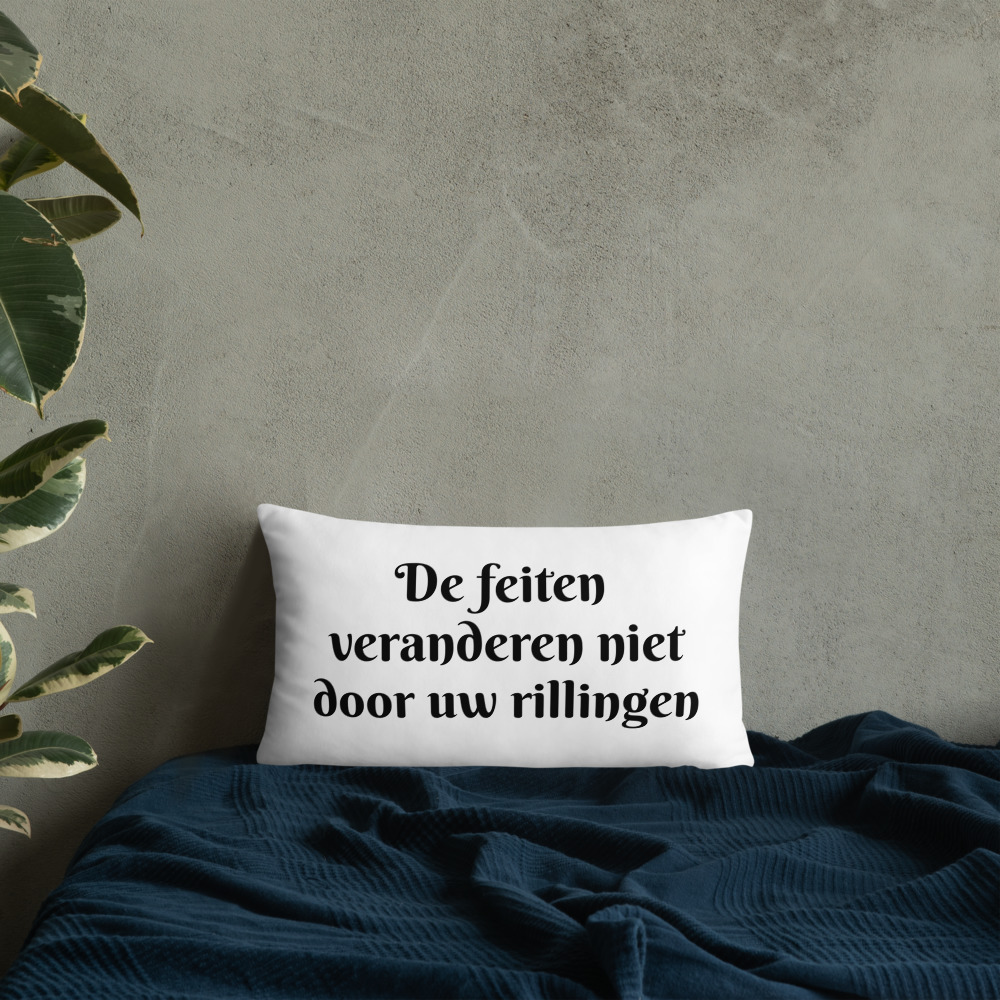 all-over-print-basic-pillow-20x12-front-lifestyle-8-6197e46d2c841.jpg